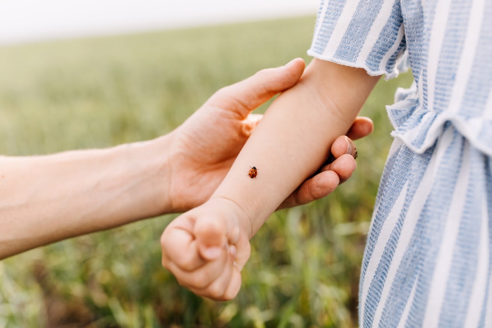 Highly Qualified Specialists